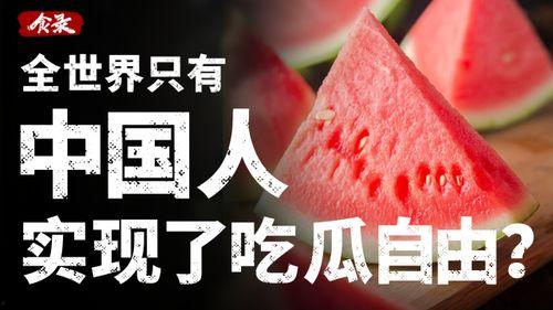 娱乐吃瓜酱财富自由,揭秘财富自由的秘密之路